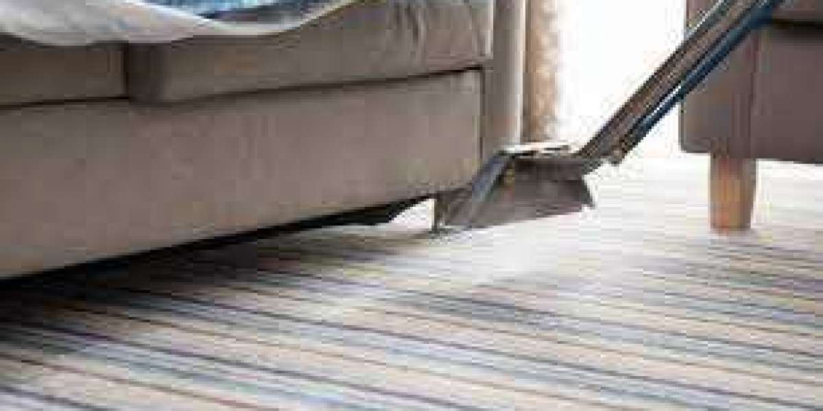 Professional Carpet Cleaning: Ensuring Every Home Stays Allergen-Free