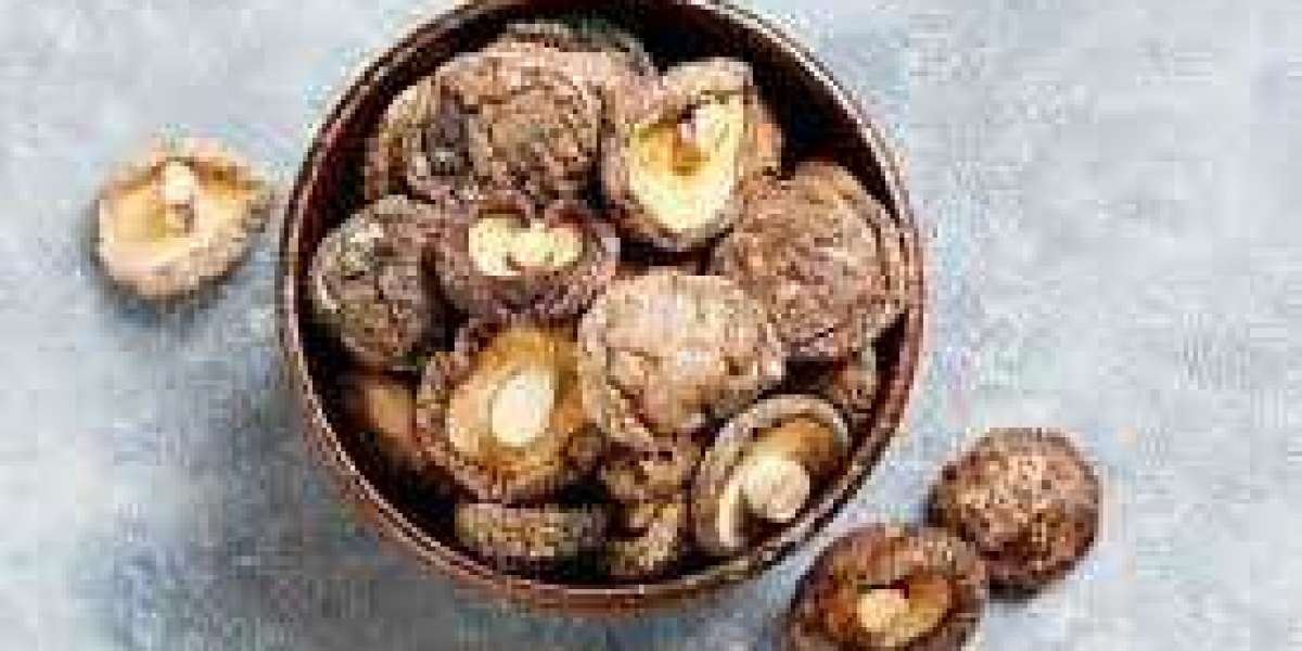 Shiitake Mushroom Market 2024-2033 is Likely to Experience a Tremendous Growth in Near Future