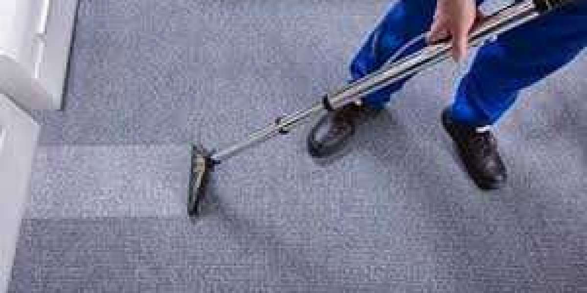 ﻿﻿﻿﻿Why Every Home Needs Professional Carpet Cleaning for Allergen Control