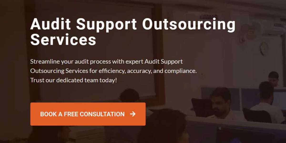 Audit Support Outsourcing Services