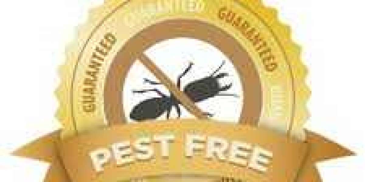 Exterminating the Menace: Finding the Best Pest Control Near You