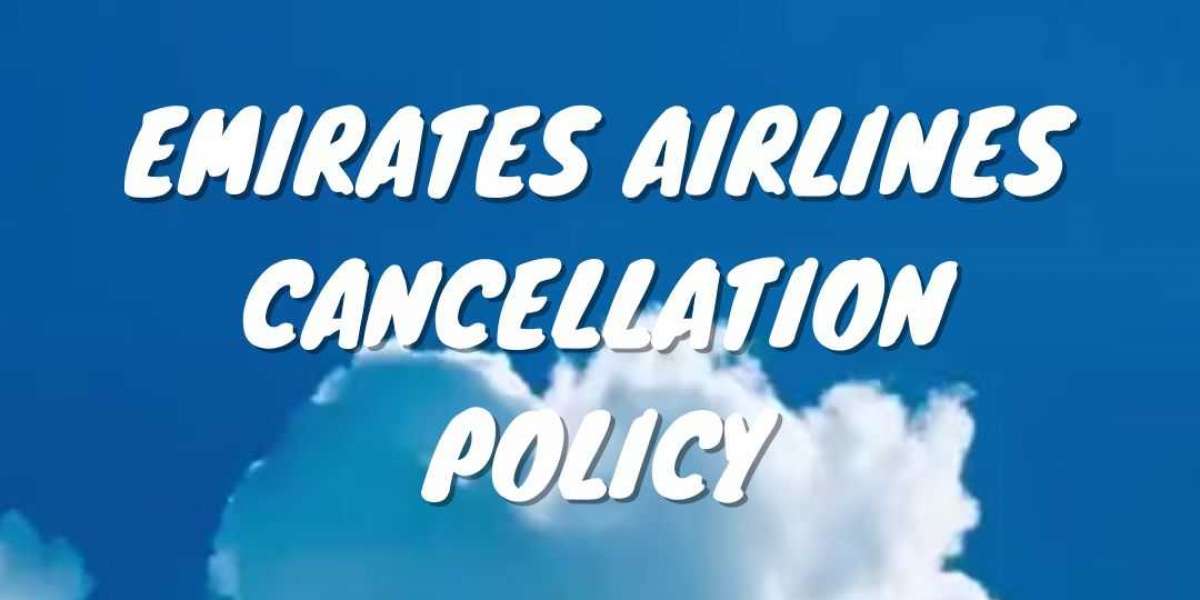 How Can I Get a Full Refund If I Cancel My Flight Within 24 Hours?