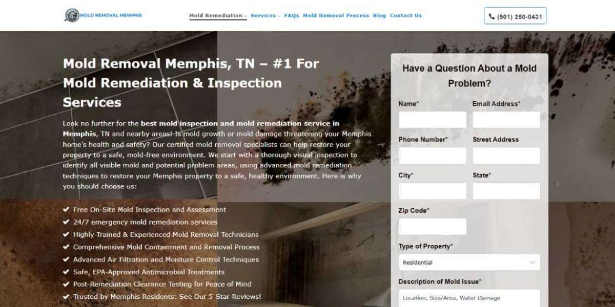 Mold Removal in Memphis, TN: A Vital Service for Health and Safety