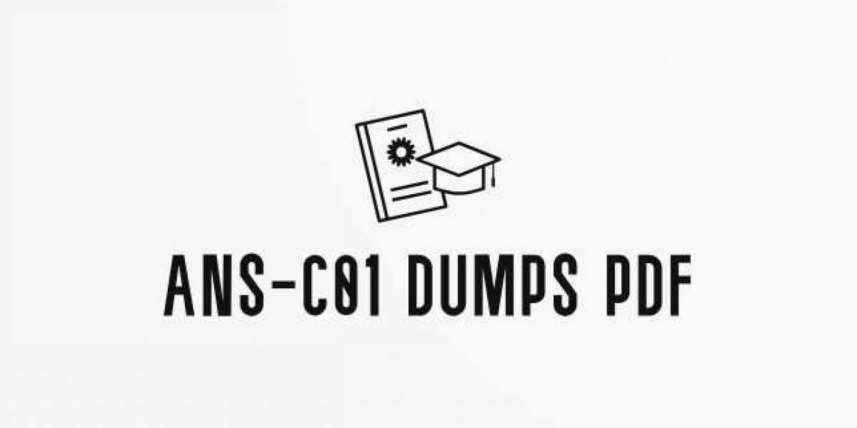 Score High with DumpsBoss ANS-C01 Dumps PDF