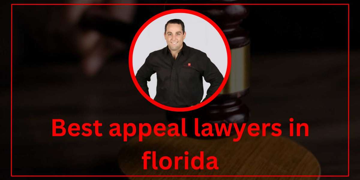 Florida's Best Post-Conviction Lawyers: Trusted Legal Experts at Brownstone Law