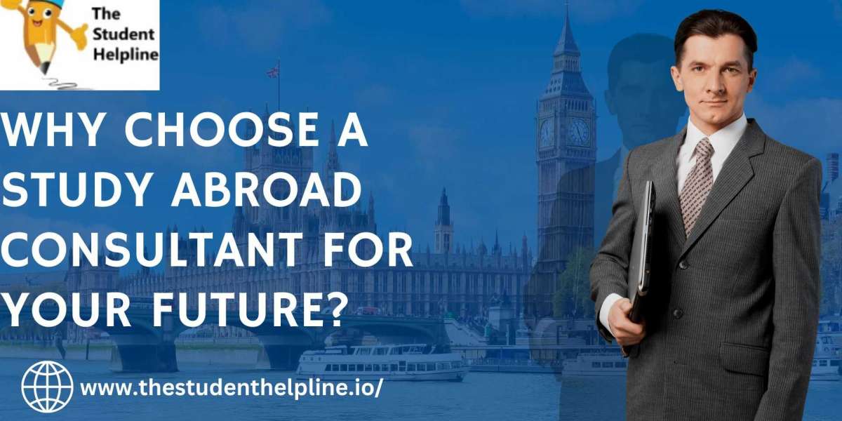 Why Choose a Study Abroad Consultant for Your Future?